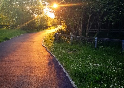 Sunset and Path